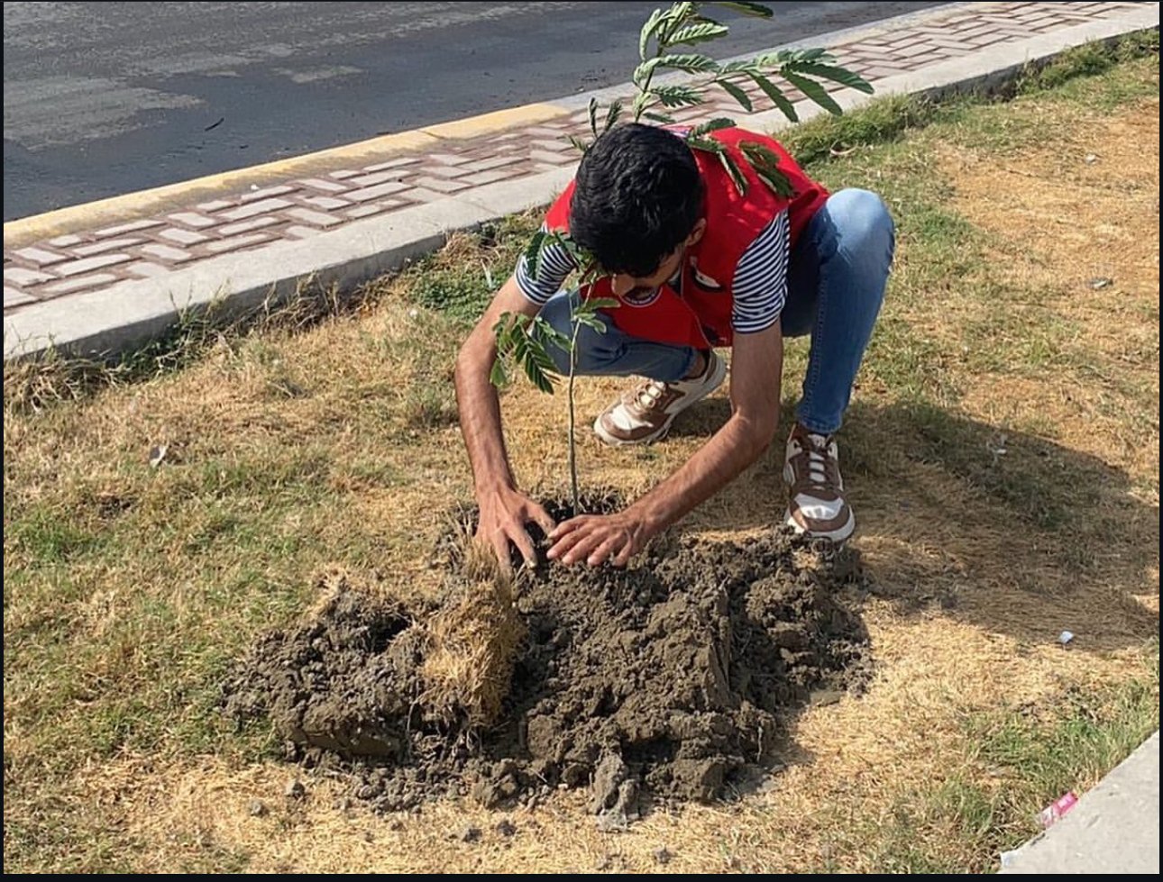 خدمات مجتمعية 6